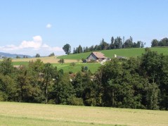 Horgenberg farm