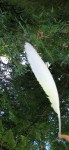 Feather